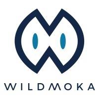 M&A Corporate WILDMOKA mercredi 20 avril 2022
