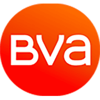 Restructuration BVA (BRULE, VILLE ET ASSOCIES) jeudi 14 janvier 2021